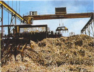 Quelles sont les trois principales sources d'énergie fossile ?