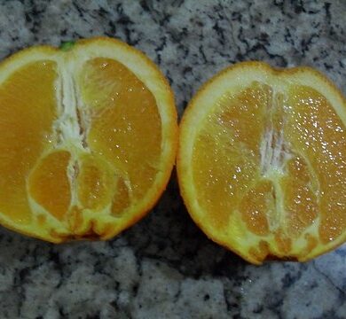Comment on appelle orange en arabe ?