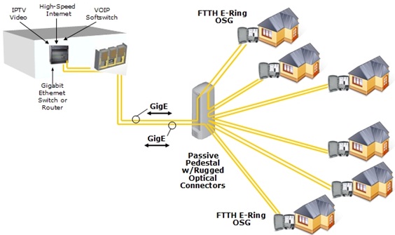 Quels sont les différents types de fibre ?